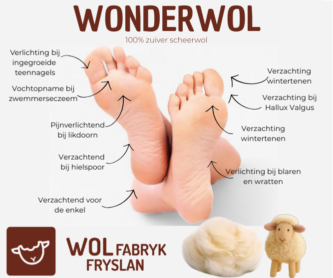 WonderWol