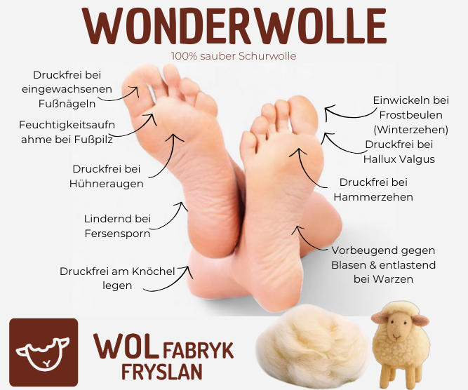 WonderWolle