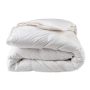 Artica 15% eendendons 4-seizoenen dekbed 240 x 220 cm