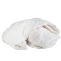 Texels Classic Wollen Zomerdekbed