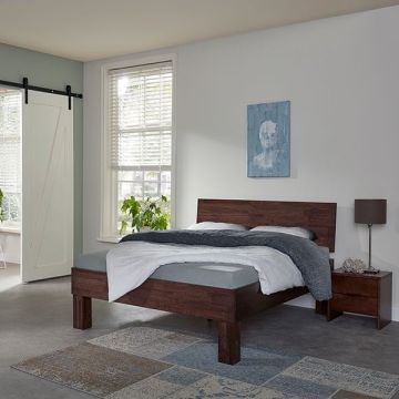 Beuken Basic Lovesch 03