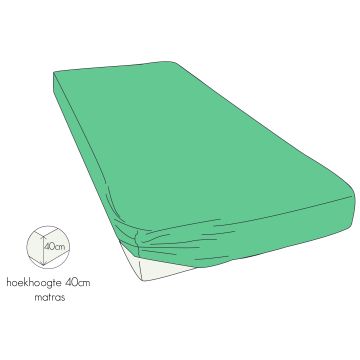 Kayori Shizu - Hoeslaken - Perkal - 160/210 - Groen