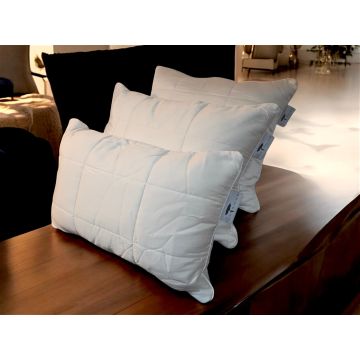 dons kussens dons kussens