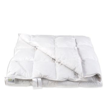TexelWool Waddendons (scharreldons) donzen zomerdekbed 1